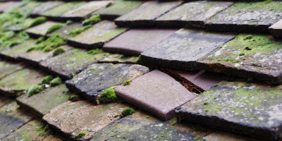 Tatenhill roof repair costs
